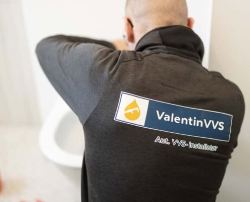 ValentinVVS logo
