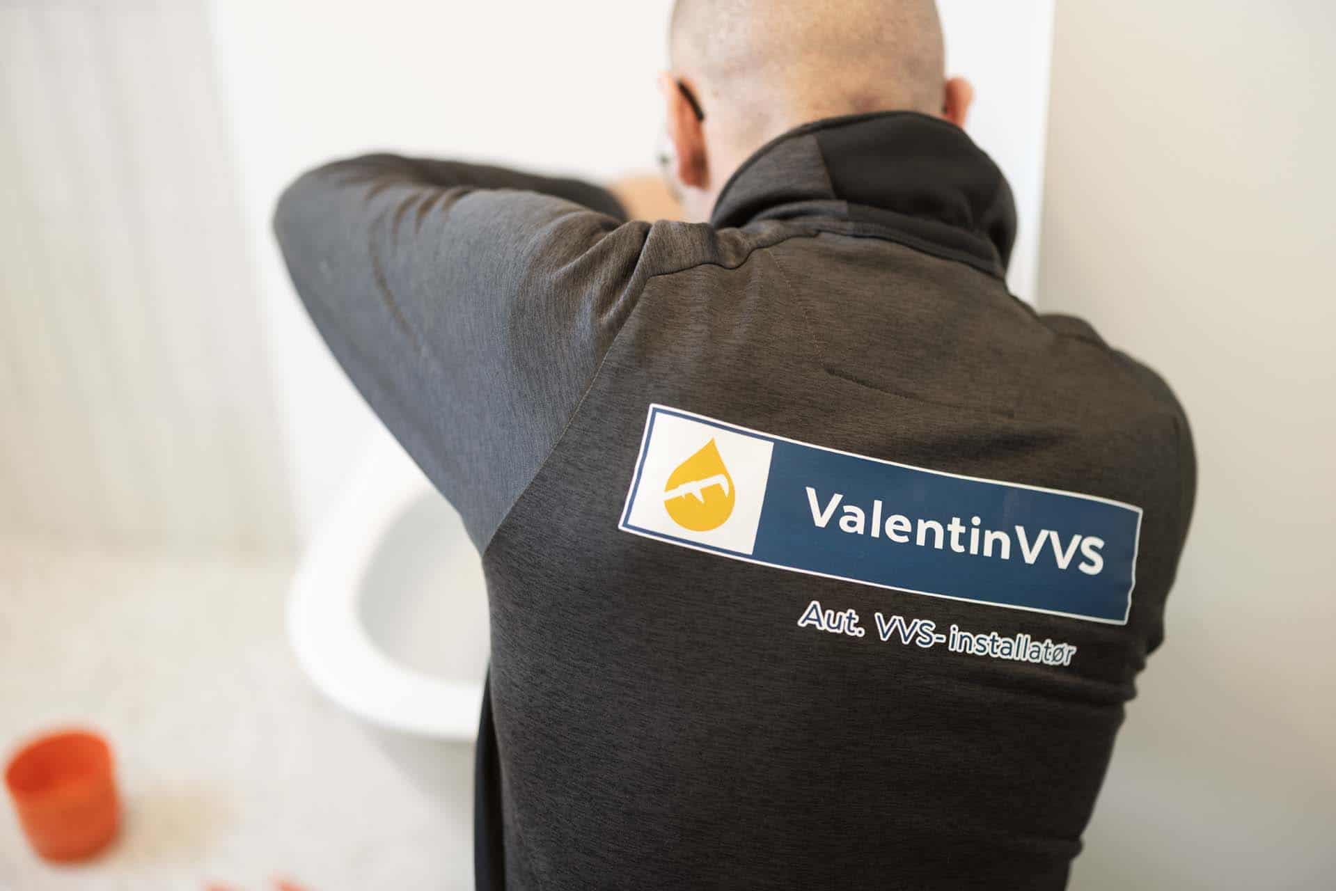 ValentinVVS logo